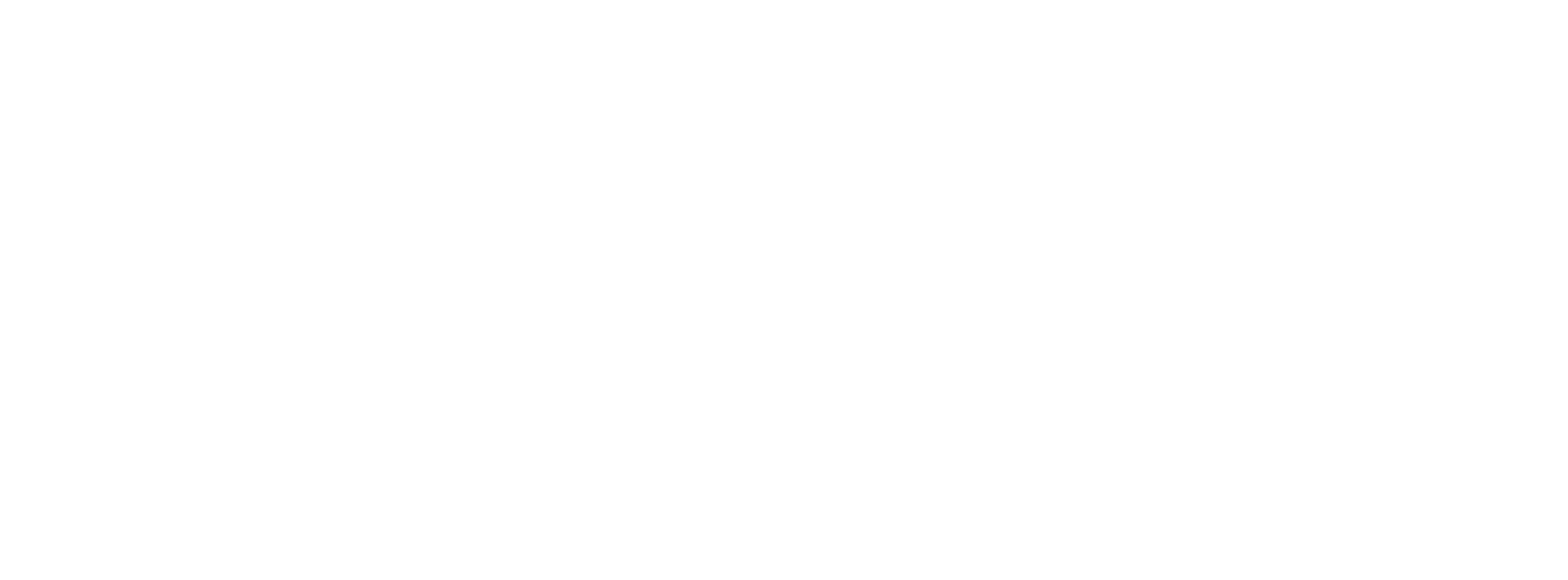 Logo de la competición AIDA
